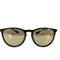 レイバン Ray-Ban ERIKA CLASSIC メンズ 54□18