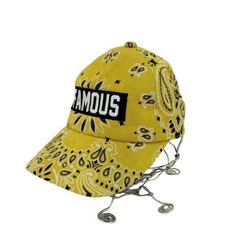 ワールドワイドフェイマス WORLD WIDE FAMOUS ペイズリー柄6パネルキャップ メンズ