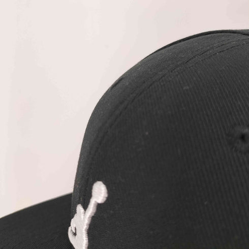ジョーダンブランド JORDAN BRAND J PRO CAP S FB JUMPMAN メンズ L/XL