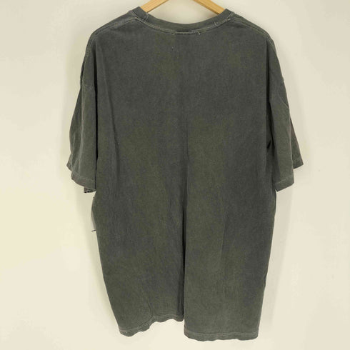COMFORT COLORS ボディ Nothings cared Stone プリント Tシャツ メンズ import:XL