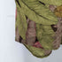 シルク100% 総柄 L/S シャツ レディース import:L