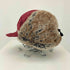 ザノースフェイス THE NORTH FACE Frontier Cap メンズ