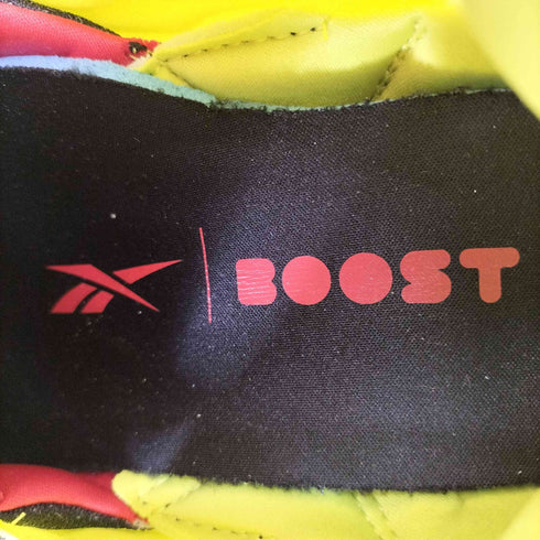 リーボック Reebok INSTA PUMP FURY BOOST メンズ 26