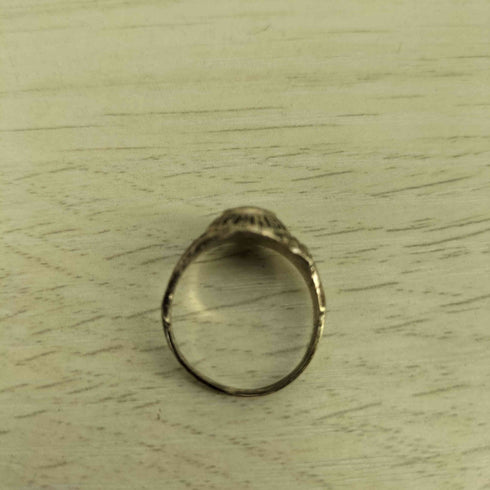 SILVER 刻印 ナンバリング カレッジリング オニキス メンズ 13号