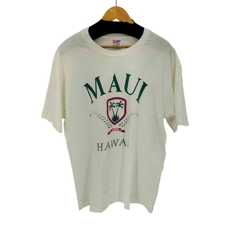 ヘインズ Hanes 90S 3段プリントクルーネックTシャツ メンズ JPN:L