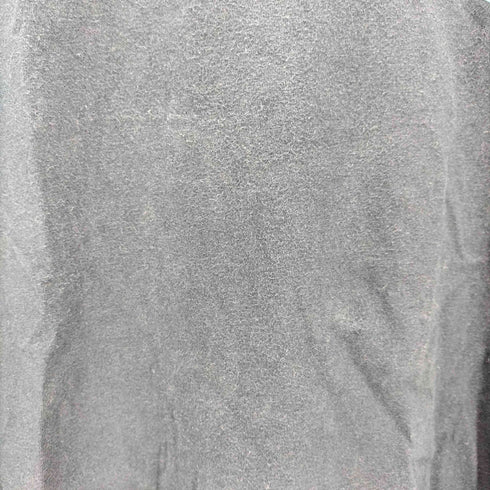 チャンピオン Champion プリントTシャツ メンズ 3L