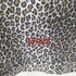 シュプリーム Supreme 19SS コットン Leopard Tagless Tees レオパード タグレス Tシャツ メンズ