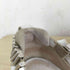 トーガプルラ TOGA PULLA METAL SNEAKER SANDAL レディース JPN:39