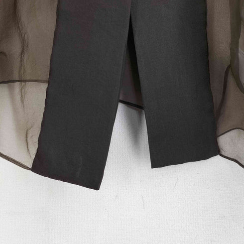 ザラ ZARA オーガンザーブラウス シアー レディース xs-s