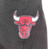ミッチェルアンドネス mitchell&ness チームロゴハーフパンツ メンズ M