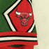 ミッチェルアンドネス mitchell&ness チームロゴハーフパンツ メンズ M
