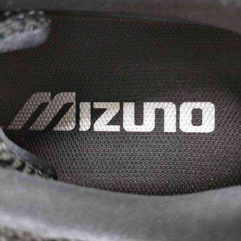 ミズノ MIZUNO WAVE RIDER 10 メンズ JPN:27.5