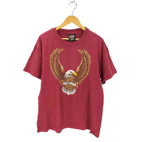 ハーレーダビッドソン HARLEY-DAVIDSON 90s USA製 Hanesボディ イーグルロゴプリントTシャツ コピーライト1995 メンズ import:L