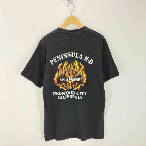 ハーレーダビッドソン HARLEY-DAVIDSON 00s USA製 Hanesボディ ドラゴンプリントTシャツ コピーライト2002 メンズ import:L