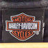ハーレーダビッドソン HARLEY-DAVIDSON 00s USA製 Hanesボディ ドラゴンプリントTシャツ コピーライト2002 メンズ import:L