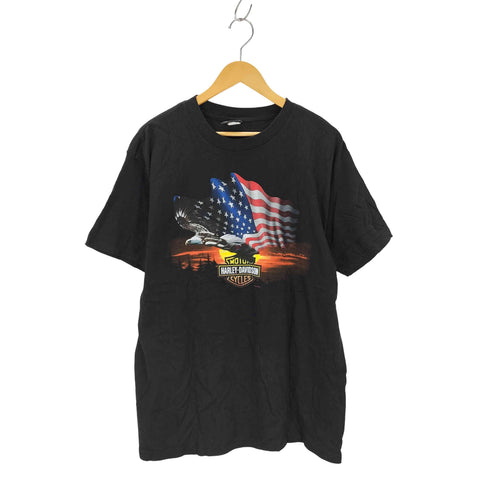 ハーレーダビッドソン HARLEY-DAVIDSON 00s USA製 イーグルロゴ 星条旗 両面プリントTシャツ コピーライト2002 メンズ import:L