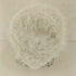 amoment SHAGGY KNIT BEANIE レディース