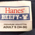 ヘインズ Hanes フロントプリント L/S Tシャツ メンズ import:S