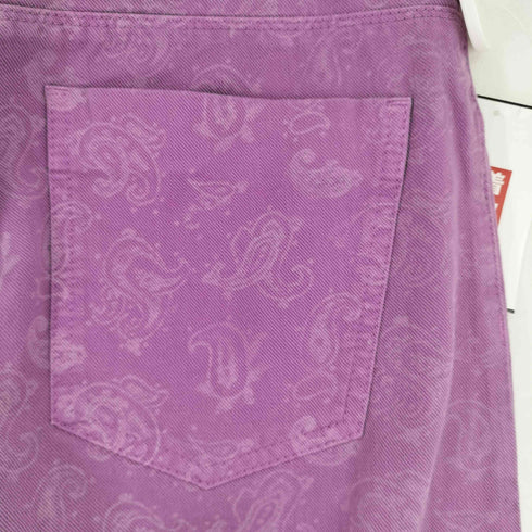 エトロ ETRO ペイズリー柄 スキニーパンツ メンズ 30