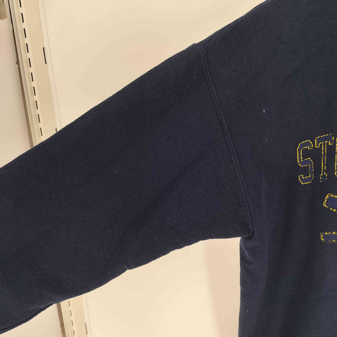 GILDAN ボディ 2枚タグ STONE HARBOR プリント 裏起毛 スウェット メンズ import:M