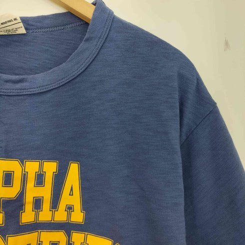 アルファインダストリーズ ALPHA INDUSTRIES VINTAGE LIKE PRINT TEE ヴィンテージライク プリント Tシャツ メンズ import:M