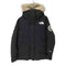 ザノースフェイス THE NORTH FACE 23AW ANTARCTICA PARKA GORE-TEX メンズ import:M