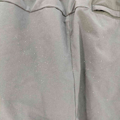 ザノースフェイス THE NORTH FACE APEX FLEX PANT エイペックスフレックスパンツ メンズ L
