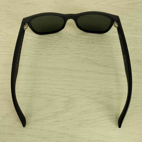 レイバン Ray-Ban NEW WAYFARER CLASSIC メンズ 52□18