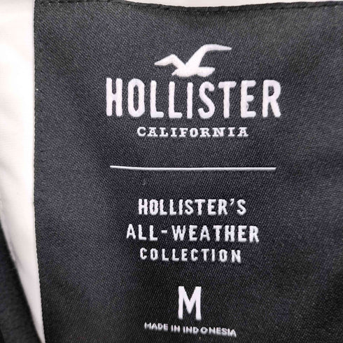 ホリスター Hollister ALL WEATHER COLLECTION ロゴ プリント 裏地 フリース マウンテン パーカー ジャケット メンズ import:M