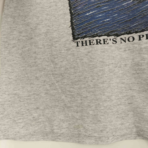 ヘインズ Hanes 90s メキシコ製 シングルステッチ GREENBELT MARYLAND 地球 プリント Tシャツ メンズ import:L