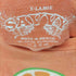 フルギ SAVVY 企業ロゴプリントTシャツ メンズ import:XL