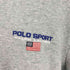ポロスポーツ POLO SPORT RLX 星条旗 刺繍 プルオーバーパーカー メンズ import:M