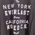 ロデオクラウンズ RODEO CROWNS BIG TEE レディース FREE