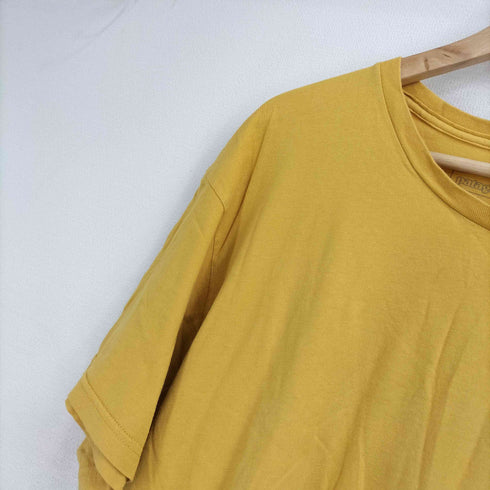 パタゴニア patagonia ボックスロゴ オーガニックコットンTシャツ メンズ import:XXL