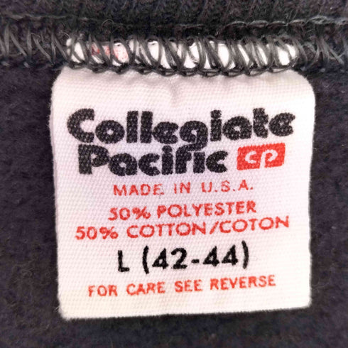 カレッジパシフィック Collegiate Pacific 80s USA製 DEPAUW アーチロゴ クルーネックスウェット メンズ import:L