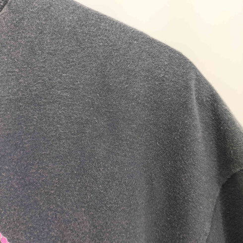 ヘインズ Hanes USA製 BEEFY IMAGINE Tシャツ ©アリ 裾&袖シングル メンズ import:XL