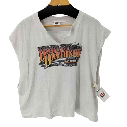 ハーレーダビッドソン HARLEY-DAVIDSON 両面プリント ノースリーブトップス メンズ 3x