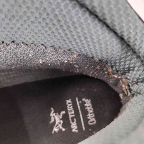 アークテリクス ARCTERYX ACRUX TR GTX Boot メンズ JPN:28.5