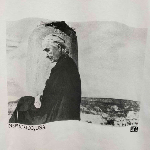 スクリーンスターズ SCREEN STARS LIFE 画家 プリント クルーネックTシャツ メンズ JPN:L