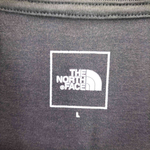 ザノースフェイス THE NORTH FACE S/S SMALL BOX LOGO TEE ショートスリーブ スモール ボックス ロゴ ティー メンズ import:L
