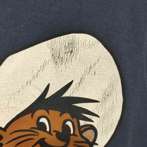 フルーツオブザルーム FRUIT OF THE LOOM 90-00S アメリカ アニメキャラクター プリント 両面プリント Tシャツ メンズ import:S