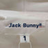 ジャックバニー JACK BUNNY ポリエステル度違い天竺ニット プルオーバー レディース JPN:1