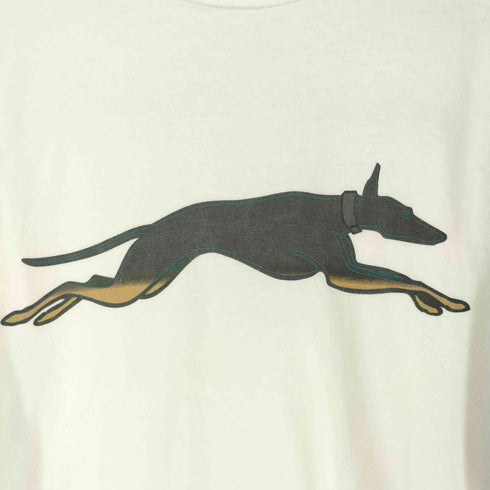 グッドイナフ GOODENOUGH 90S 初期 ドーベルマンTシャツ 長袖カットソー HANESボディ メンズ XL