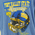 ギルダン GILDAN FORT VALLEY STATEプリントTee メンズ import:XL