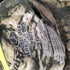 MOSSY OAK BREAK-UP 迷彩 クルーネックTシャツ メンズ import:M