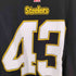 エヌエフエル NFL STEELERS クルーネックTシャツ メンズ import:L