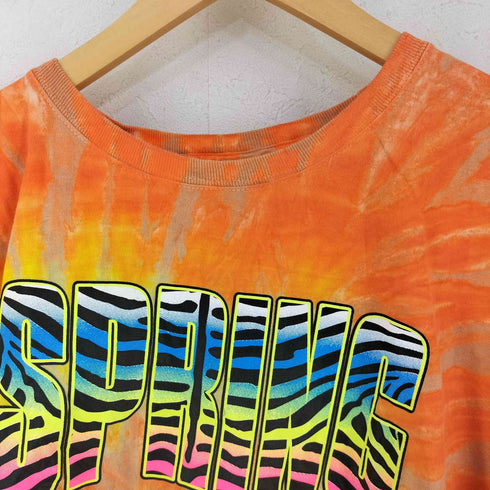 ヘインズ Hanes SPRING BREAK クルーネックTシャツ メンズ import:XL