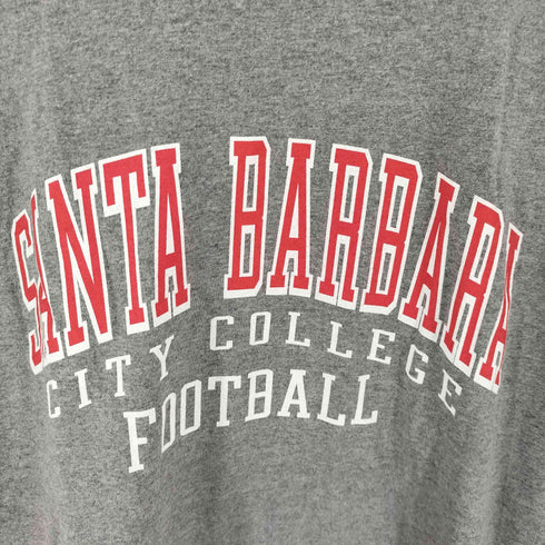 ジャンスポーツ JanSport SANTA BARBARA クルーネックTシャツ メンズ import:L