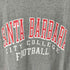 ジャンスポーツ JanSport SANTA BARBARA クルーネックTシャツ メンズ import:L
