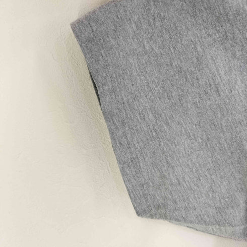 ヘインズ Hanes アーチロゴ フットボールTee メンズ import:XL